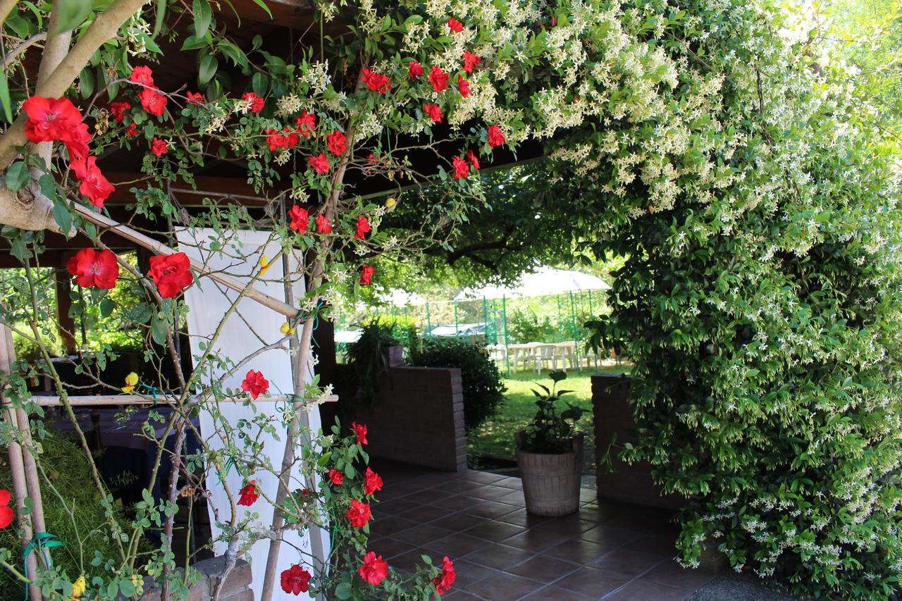 da elio Piegaro (Umbria) Exterior foto